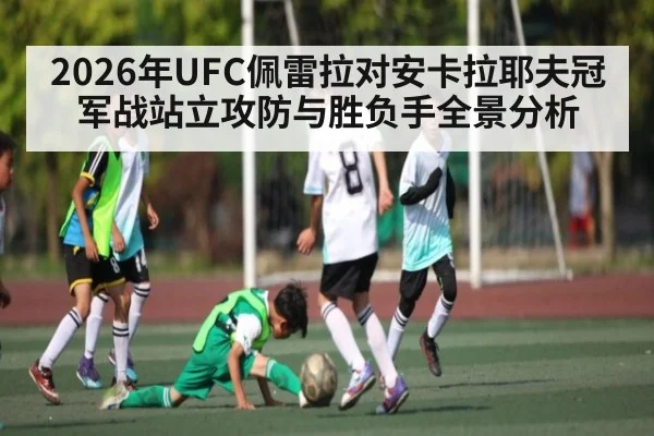 2026年UFC佩雷拉对安卡拉耶夫冠军战站立攻防与胜负手全景分析